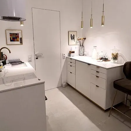 Apartment Exclusive In Historic Center Linz